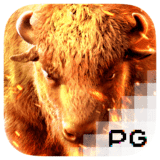 RTP pgsoft agent188